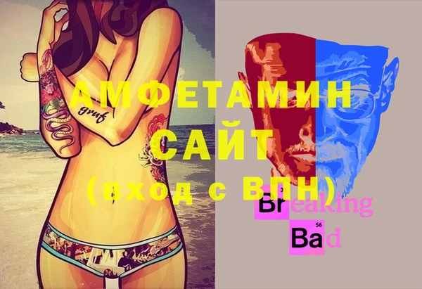 стафф Алексин