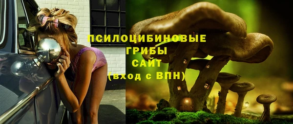 стафф Алексин