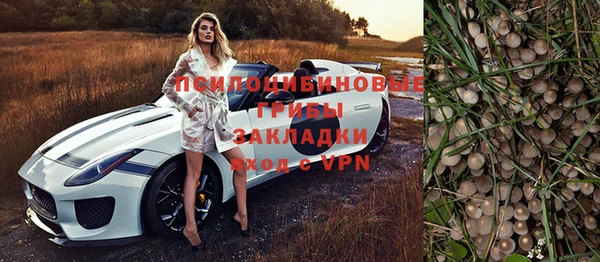 дурь Армянск