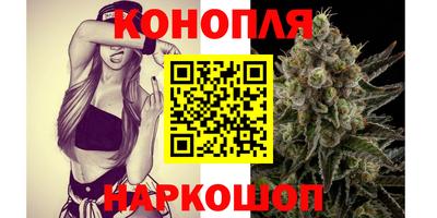 прущие крисы Дубна