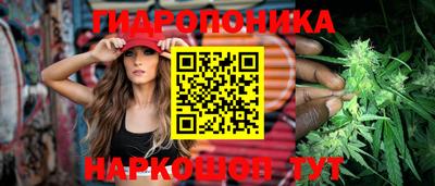 прущие крисы Дубна