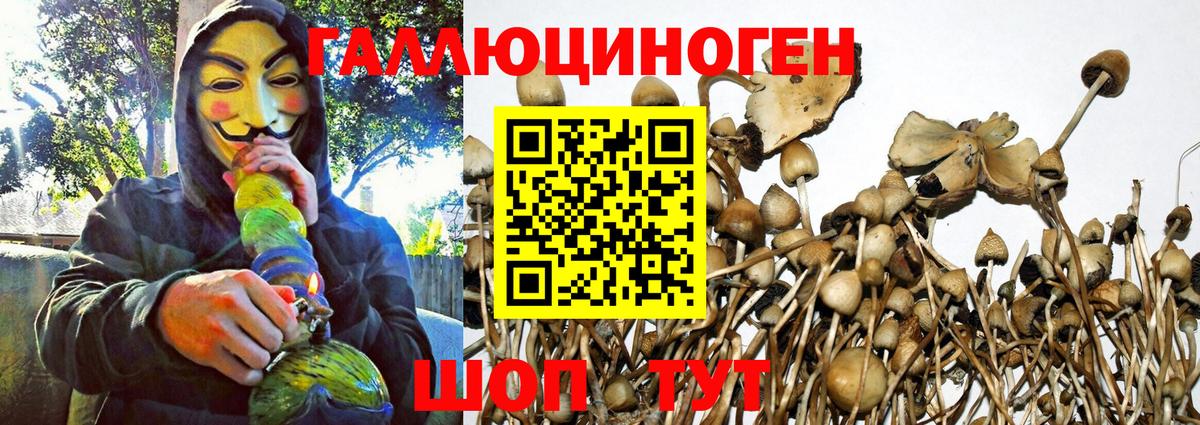 Галлюциногенные грибы GOLDEN TEACHER Кыштым