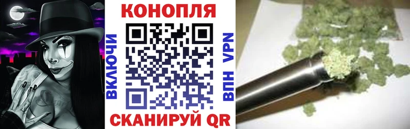 где найти   Кыштым  Бошки Шишки ГИДРОПОН 
